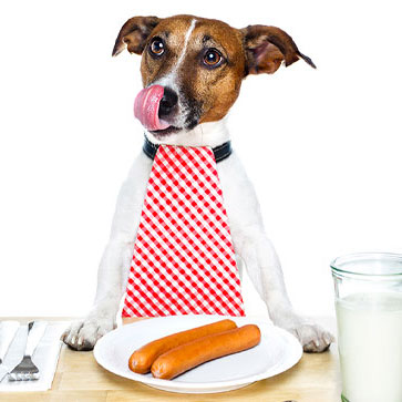 intolleranza alimentari cani