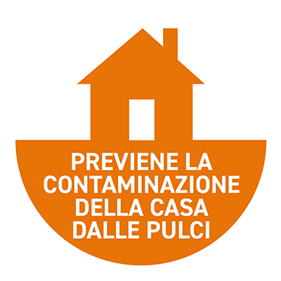 contro la contaminazione da pulci in CASA