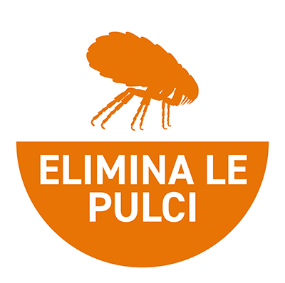 elimina le pulci