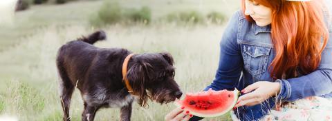 ALIMENTI E SOSTANZE DA NON DARE AI CANI