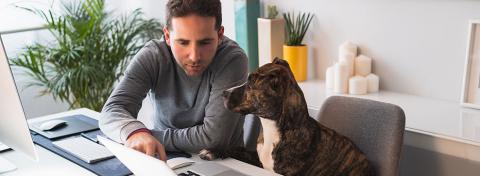 COME LAVORARE DA CASA CON IL TUO AMICO A QUATTRO ZAMPE