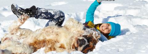 TOELETTATURA INVERNALE DEL CANE: SCOPRI LE ZECCHE!